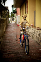 Konica "My Famous Dog"